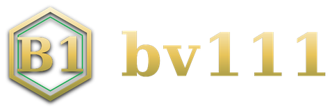 bv111 logo